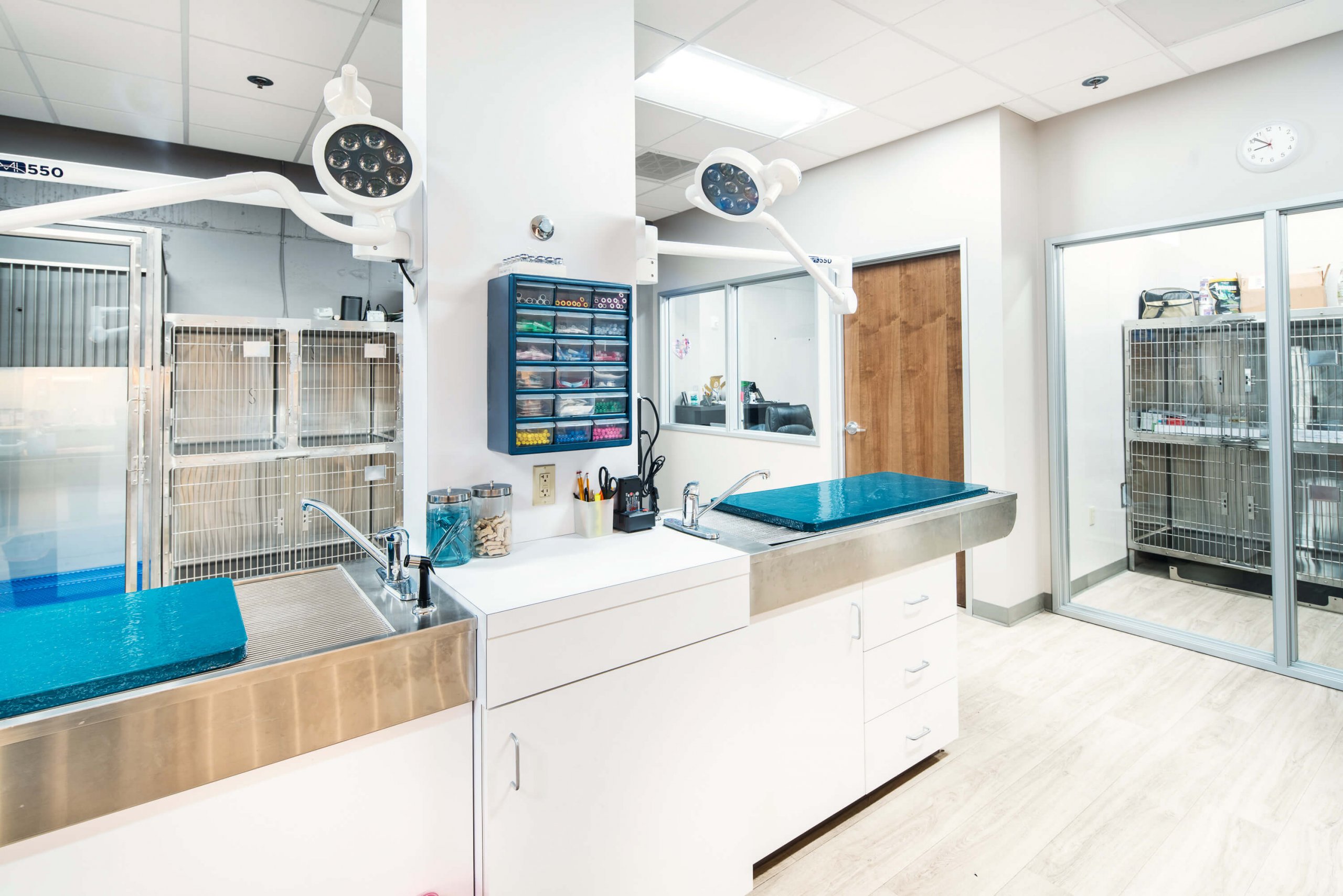 Pet Hospital Tour Near Me 97239 Wildwood Veterinary Clinic