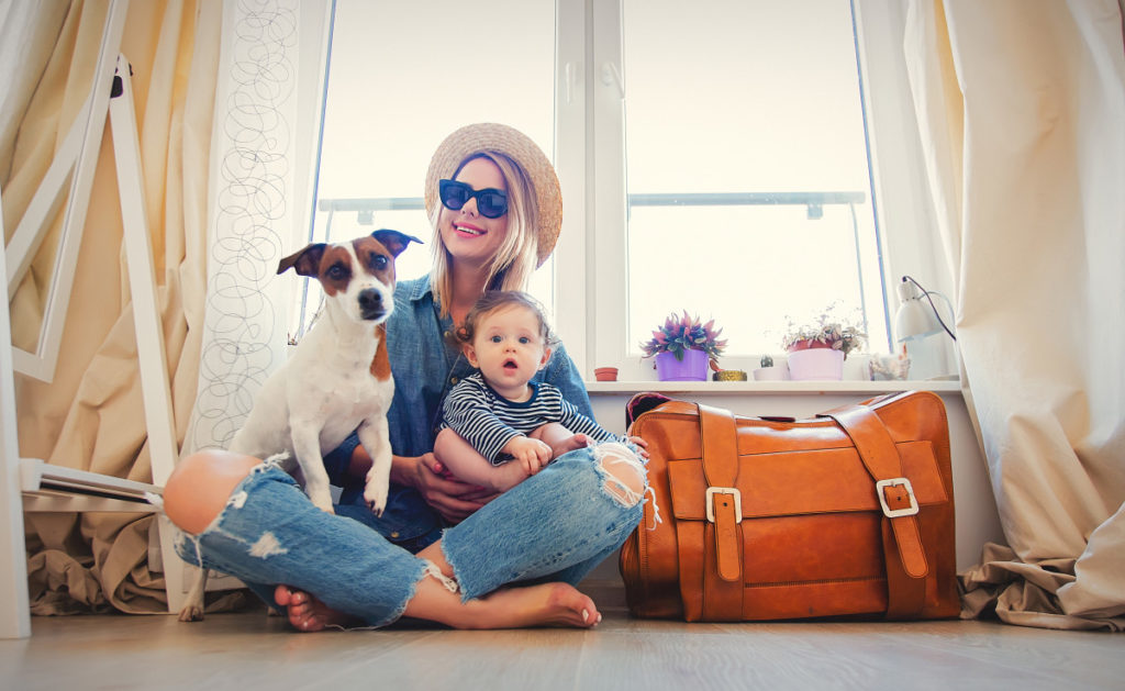 Traveling With Pets - Wildwood Veterinary Clinic